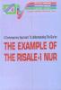 The Example of The Risale-i Nur