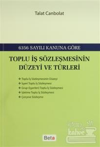 Toplu İş Sözleşmesinin Düzeyi ve Türleri