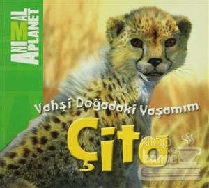 Vahşi Doğadaki Yaşamım: Çita