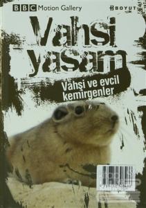Vahşi Yaşam-Vahşi ve Evcil Kemirgenler