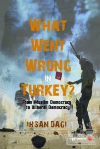 What Went Wrong in Turkey?
