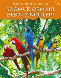 Besin Zincirlerini Korumak - Yağmur Ormanı Besin Zincirleri