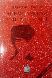 Acemi Aşklar Toplamı/Suteni Yayıncılık/Alaattin Topçu