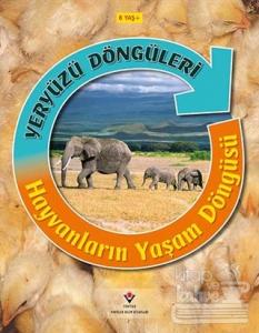 Yeryüzü Döngüleri