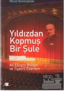 Yıldızdan Kopmuş Bir Şule