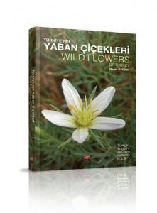 Türkiye'nin Yaban Çiçekleri Nazan Öztürk