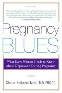 Pregnancy Blues Shaila Kulkarni Misri