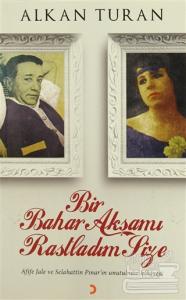 Bir Bahar Akşamı Rastladım Size