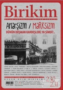 Birikim Aylık Sosyalist Kültür Dergisi Sayı: 230 - 231