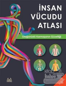 İnsan Vücudu Atlası