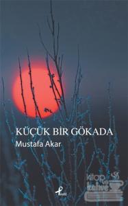 Küçük Bir Gökada