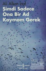 Şimdi Sadece Ona Bir Ad Koymam Gerek