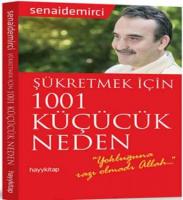 Şükretmek İçin 1001 Küçücük Neden