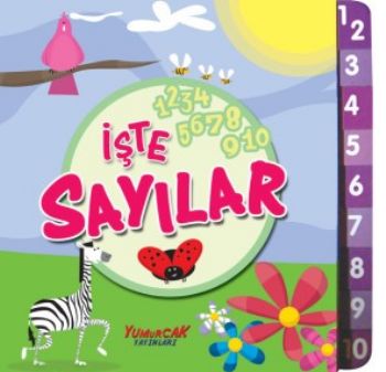 İşte Sayılar