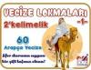 Vecize Lokmaları 1 - 2 Kelimelik 60 Arapça Vecize