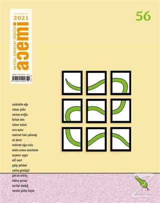Acemi Aktüel Edebiyat Dergisi Sayı: 56 Mayıs-Haziran 2021 Kolektif