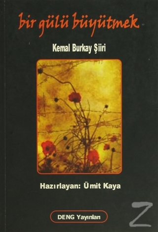 Bir Gülü Büyütmek