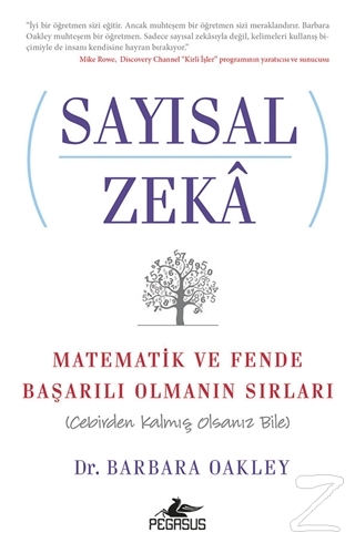 Sayısal Zeka: Matematik ve Fende Başarılı Olmanın Sırları (Cebirden Kalmış Olsanız Bile)