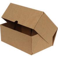 Kilitli Koli Kutu 20x15x9 cm. Kilitli Koli Kutu 20x15x9 cm.