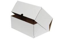 Beyaz Kilitli Karton Kutu 25x20x10 cm. Beyaz Kilitli Karton Kutu 25x20x10 cm.