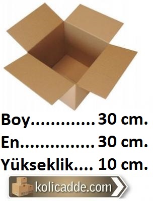 50 Adet Karton Koli Tanesi 1,79 L.