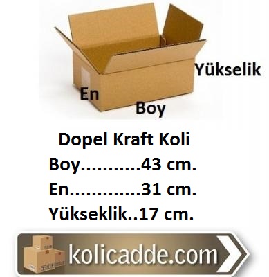 Dopel Kraft Koli 43x31x17 cm.
