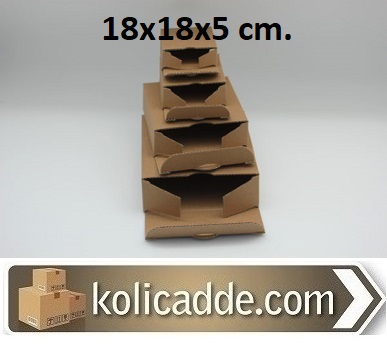 100 Adet Kargo Kutusu Tanesi 1,09 L.