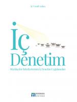 İç Denetim İç Denetim