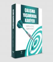 ÇALIŞMA YAŞAMINDA KARİYER ÇALIŞMA YAŞAMINDA KARİYER