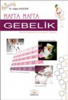 Hafta Hafta Gebelik Hamilelik Hafta Hafta Gebelik Hamilelik