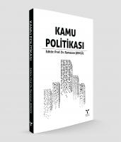 KAMU POLİTİKASI KAMU POLİTİKASI