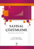 SAYISAL ÇÖZÜMLEME SAYISAL ÇÖZÜMLEME