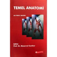 TEMEL ANATOMİ TEMEL ANATOMİ