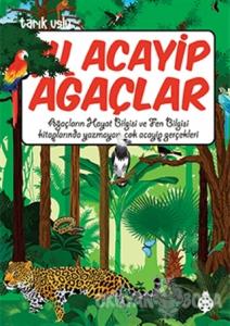 Su Acayip Isik Ve Renk Tarik Uslu Ugurbocegi Yayinlari
