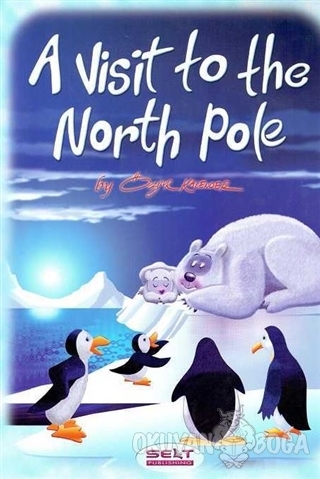 A Visit To The North Pole + CD - Kolektif - Selt Publishing