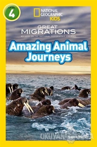 Amazing Animal Journeys (Readers 4)