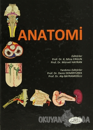 Anatomi (Ciltli) - K.Mine Ergun - MN Medikal ve Nobel Tıp Kitabevi