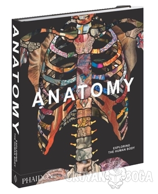 Anatomy (Ciltli) - Kolektif - Phaidon Press