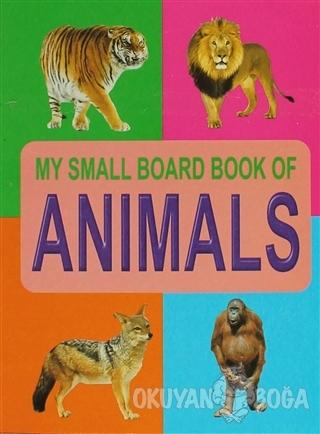 Animals My Small Board Book Of - Kolektif - Dreamland Publications