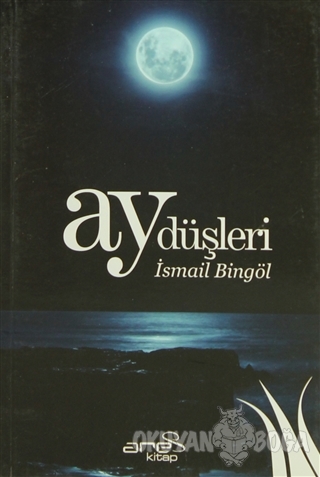 Ay Düşleri - İsmail Bingöl - Ares Yayınları
