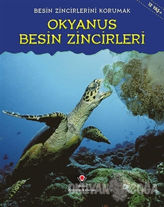 Besin Zincirlerini Korumak Okyanus Besin Zincirleri
