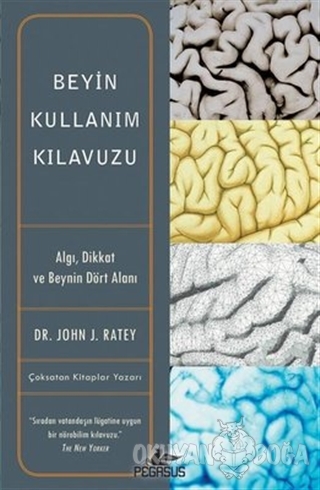Beyin Kullanım Kılavuzu
