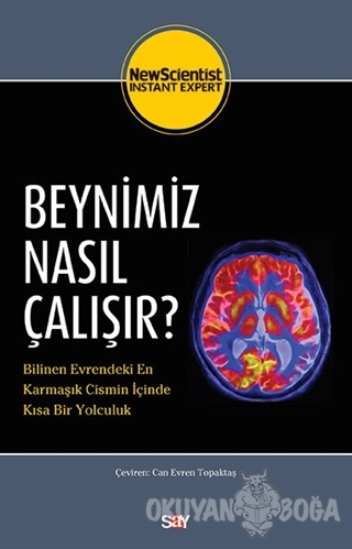 Beynimiz Nasıl Çalışır?