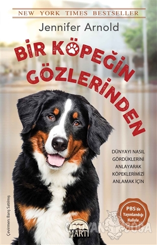Bir Köpeğin Gözlerinden
