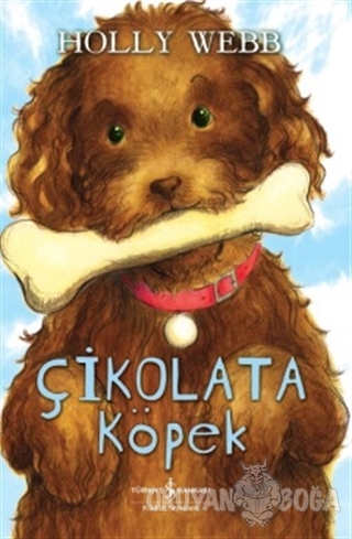 Çikolata Köpek
