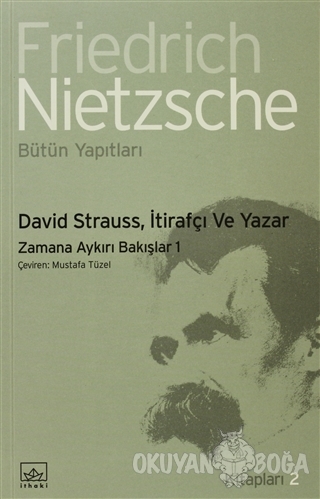 David Strauss, İtirafçı ve Yazar