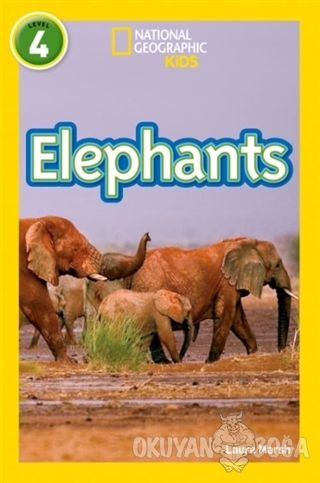 Elephants: Level 4 - Laura Marsh - Beta Kids