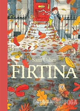 Fırtına