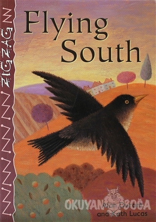 Flying South - Alan Durant - NCP Yayıncılık