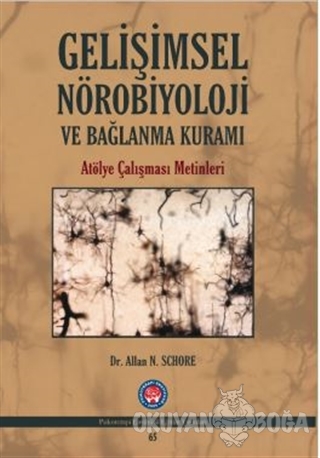 Gelişimsel Nörobiyoloji ve Bağlanma Kuramı - Allan N. Schore - Psikote